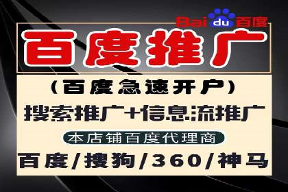 百度推广实战：成功案例解析